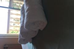 Apartmány Meri Apartmán 2 - A 6+1 foto 5