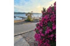 Apartmán Mare - prvi red uz more Apartmán 1 - Mare foto 3