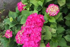 Apartmány Jurov Apartmán 1 - Studio foto 2