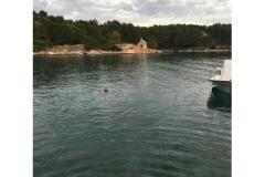 Apartmán Zaga Apartmán 2 - Didica foto 1