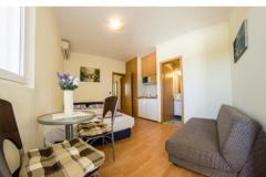 Apartmány Silva Apartmán 1 - AP 4+1 foto 5