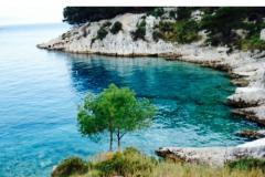 Apartmány Violeta Apartmán 1 - Marijan foto 1