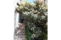 Apartmány A &amp; N Bekavac . Apartmán 4 - A2+2 foto 5
