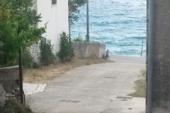 Ubytovanie Julia Apartmán 6 - Julia 6 foto 2