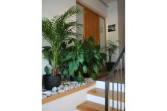 Apartmány Katarina Apartmán 1 - Ap1 foto 1