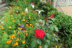 Apartmány  Anka Apartmán 1 foto 3