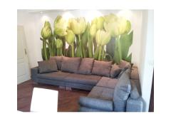 Apartmán Estera Apartmán 1 foto 1