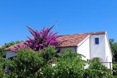 Prázdninový dom - Apartmán Milka Apartmán 1 - Kuća foto 2