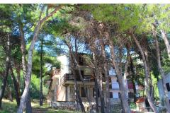 Apartmány Floris Ivan Dolac Apartmán 3 - 9 guests foto 4