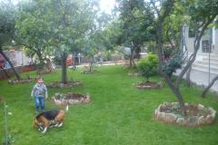 Jadranka Franičević Apartmán 2 - apartman foto 2