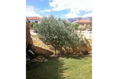 Apartmány Vito Apartmán 1 - Bartul foto 2