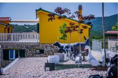 Luxury villa Cvita Apartmán 1: (18+4) - VillaCvita foto 3