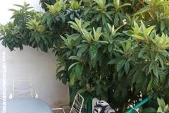 Apartmány Duboka Apartmán 1 - A2 foto 4