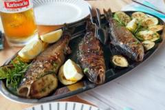 Pansion Kozina Izba 2 - Tr.soba foto 5