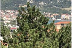 Apartmány Maričić Apartmán 3 - Stella M 3 foto 5