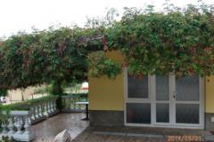 Apartmány Milica Apartmán 1 - APARTMAN foto 4