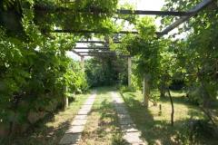 Sea Dream Apartmán 2 - Sea Dream2 foto 3