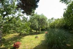 Sea Dream Apartmán 2 - Sea Dream2 foto 4