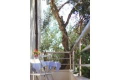 Apartmány Zoran Apartmán 1 - AP1 foto 5