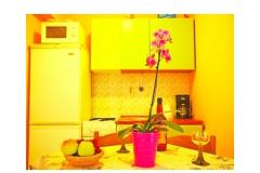 Apartmány Diana Apartmán 4 - ap. 4 foto 1