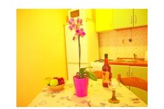Apartmány Diana Apartmán 4 - ap. 4 foto 2