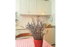 Apartmány Dragica Begović Apartmán 2 - STUDIO-AP2 foto 1