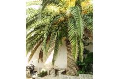 Silva apartments Apartmán 2 foto 4