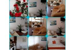 Villa Apartmány Sumić Apartmán 1 - GREEN OASE foto 4