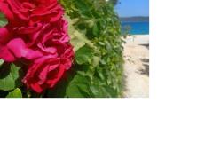 Luxury Villa Marin Apartmány Apartmán 3 - Olea foto 1