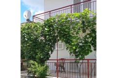 Slavko Šain Apartmán 4 - kuča foto 4