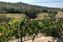 Dolac Vulića Apartmán 1 - Apartman foto 1