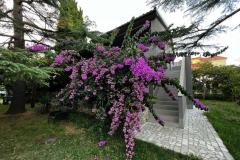 Flowers Apartmán Medulin, Fucane 2 Apartmán 1 - Bugenvilia foto 2
