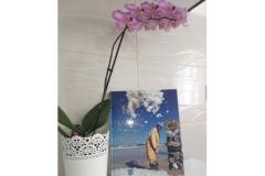 Apartmány Mirjana Apartmán 1 - I . kat foto 2