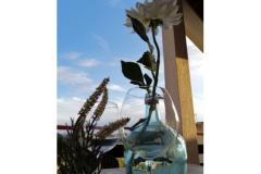 Apartmány Mirjana Apartmán 2 - Mali ap foto 1