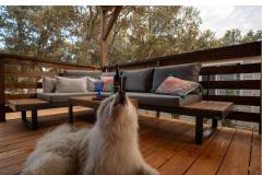 Dom Sookie Apartmán 1 - H. Sookie foto 2