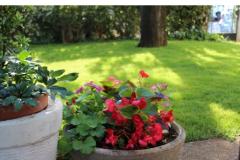 Maena Appartments Apartmán 1 - Cozy foto 4