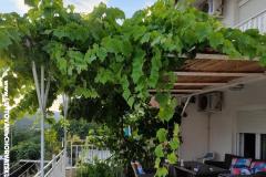 Dom Nada Apartmán 3 - Palma foto 3