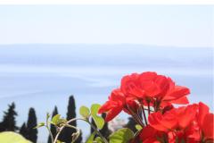 Apartmány Rubić Apartmán 3 - Apartman 4 foto 3