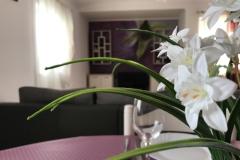Apartmány Luna Apartmán 4 - 7 foto 1