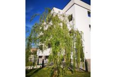 Apartmány Dalmacija Apartmán 2 - apartman 2 foto 1