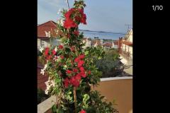 Apartmány Iva Apartmán 3 - App 7+1 foto 2