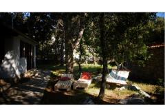 Pine Villa Apartmán 1 - Pine villa foto 2