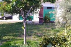 Apartmán Sumić Apartmán 1 - Vespa foto 2