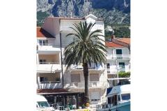 Palm tree apartman Apartmán 1 - Palm tree foto 1