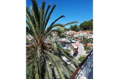 Palm tree apartman Apartmán 2 - Palma foto 1