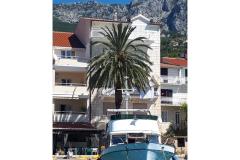 Palm tree apartman Apartmán 2 - Palma foto 2