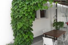 Apartmány Car-Bruna Apartmán 3 - Apartman 5 foto 3