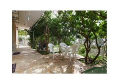 Apartmány Bougainvillea Apartmán 3 - apartman foto 4