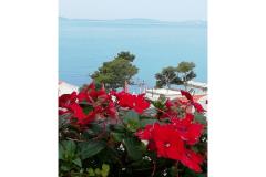 G- attic apartman Apartmán 1 - Apartman G foto 2