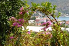 Apartmány  ToJo Apartmán 3 - A3 foto 2